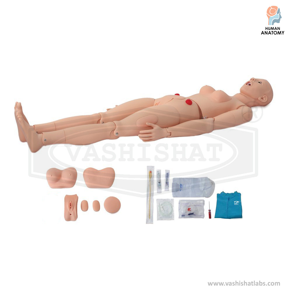 Nursing Manikin Simulator Multi Functional Female